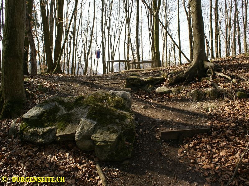 Ruine-Schwandiburg.–5- Ruine Schwandiburg