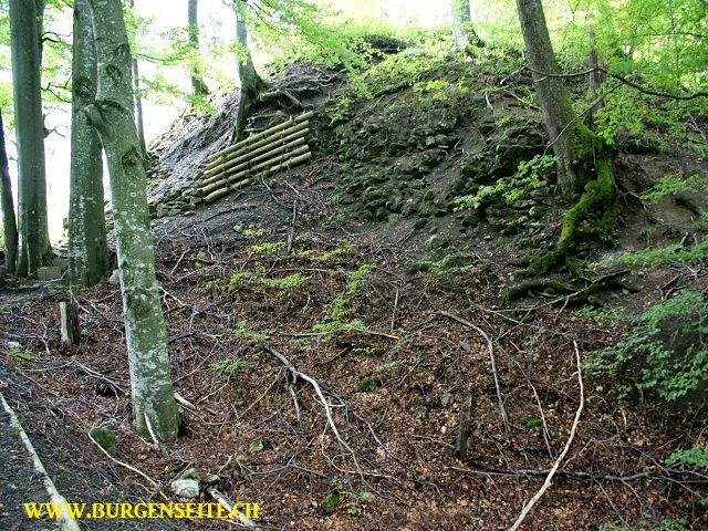 Ruine Sola