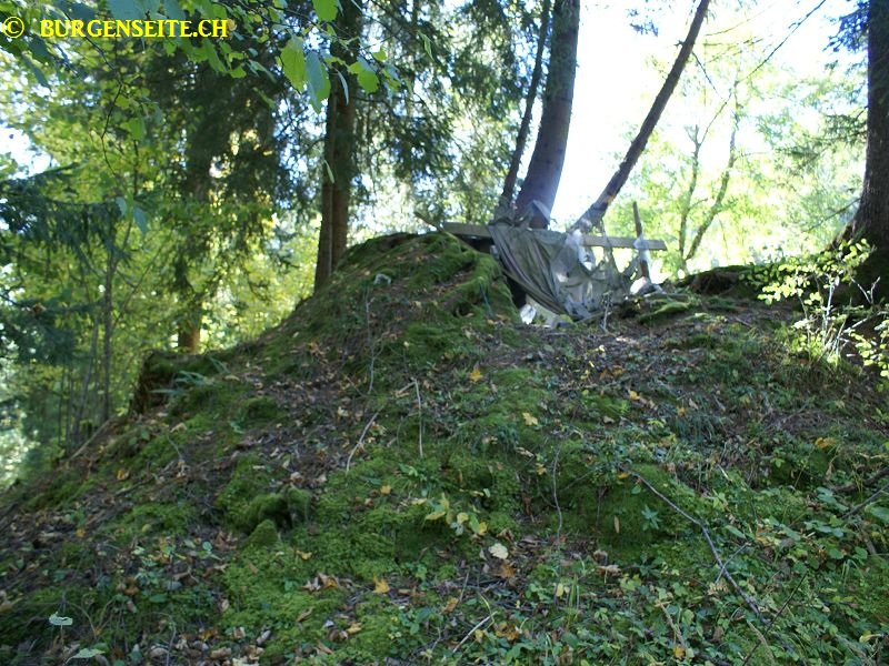 Ruine Steinegg