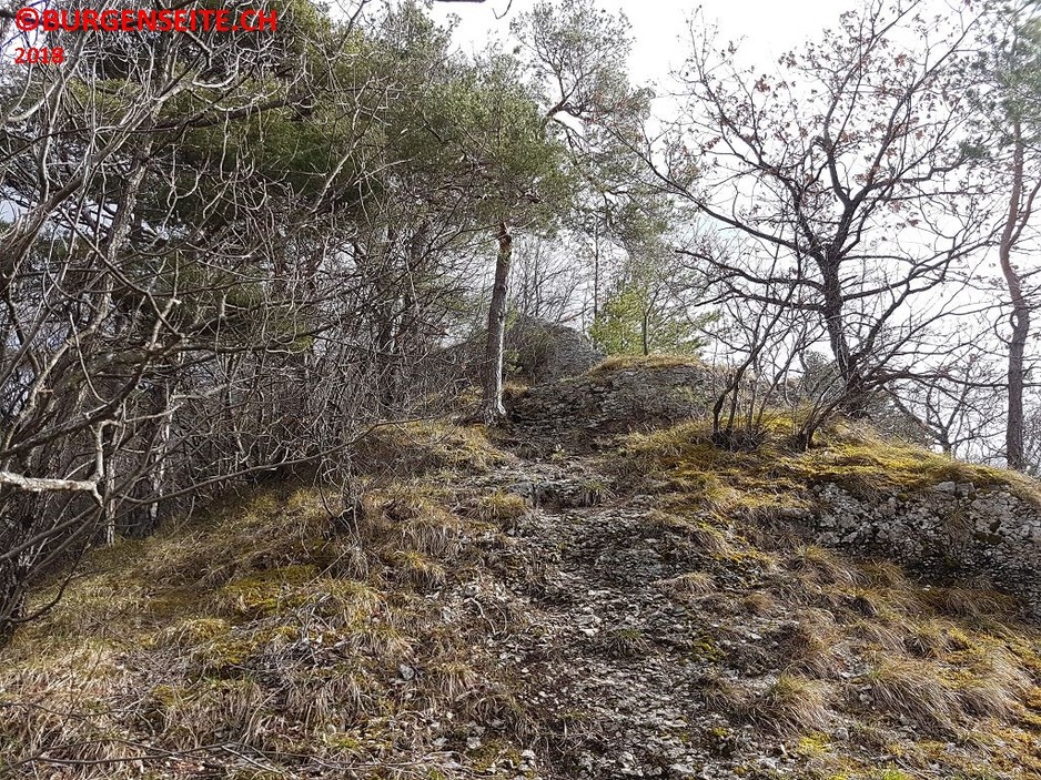 Ruine Sternenfels