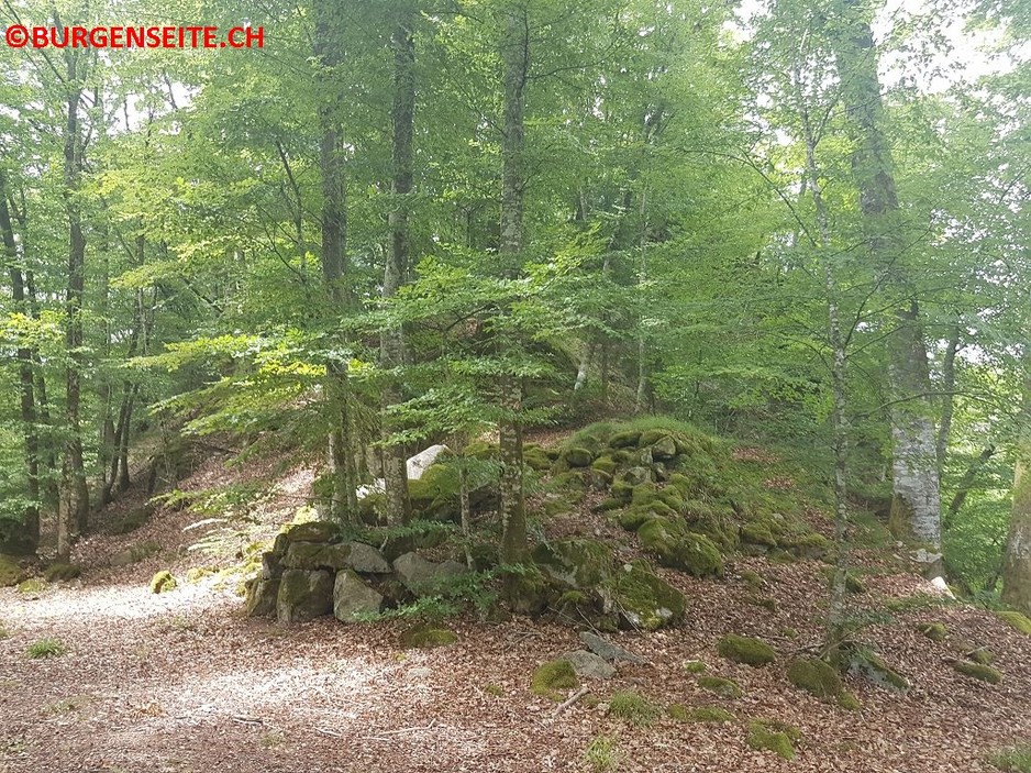 Ruine-Tiefenstein–7- Ruine Tiefenstein