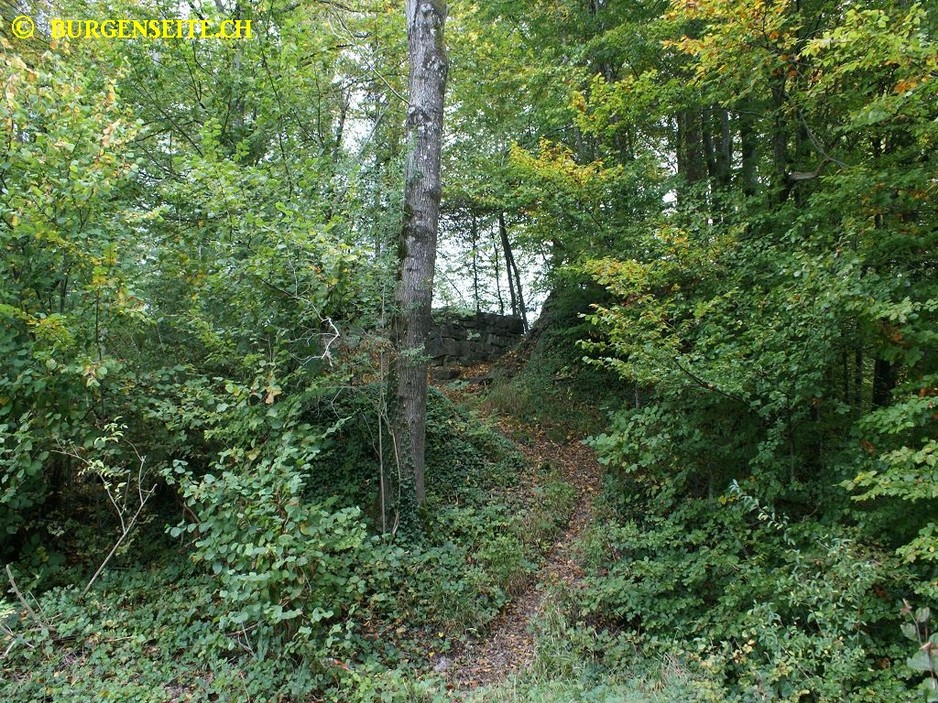 Ruine-Uznaberg–6- Ruine Uznaberg