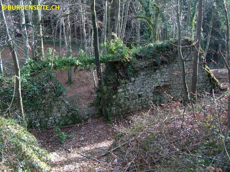 Ruine Waldeck