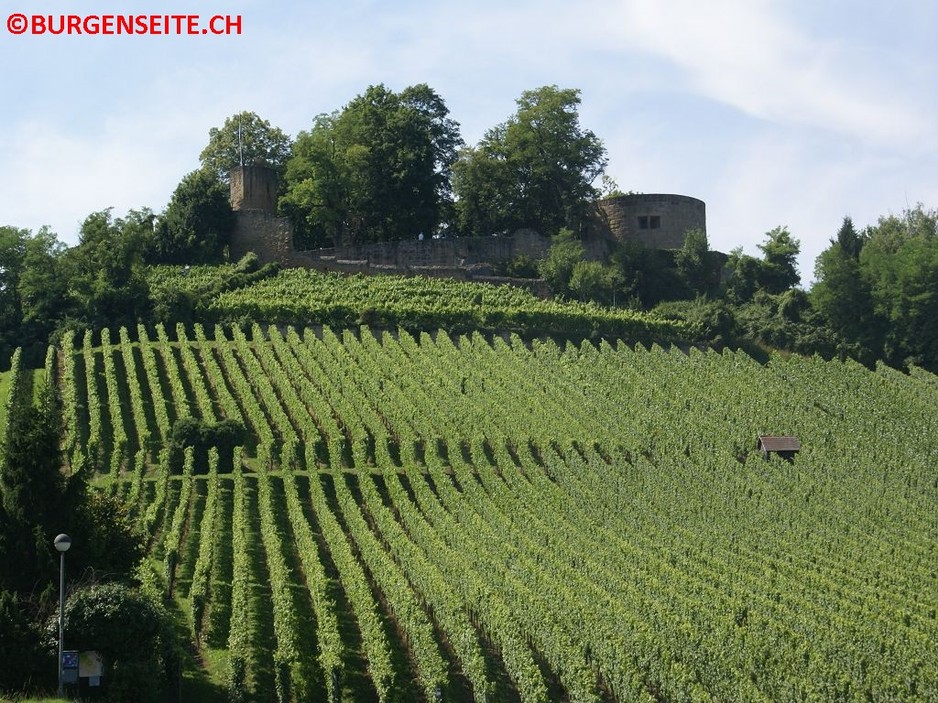 Ruine Weibertreu