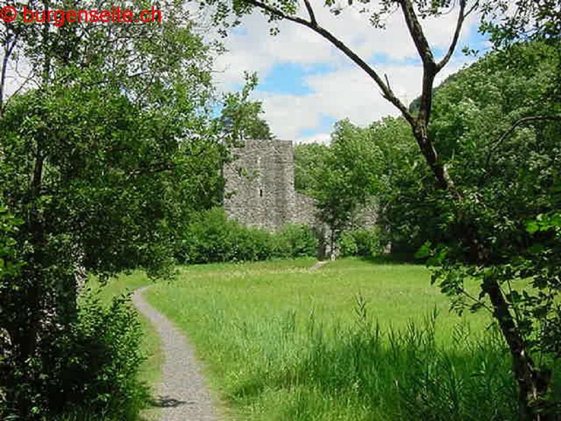 Ruine Weissenau