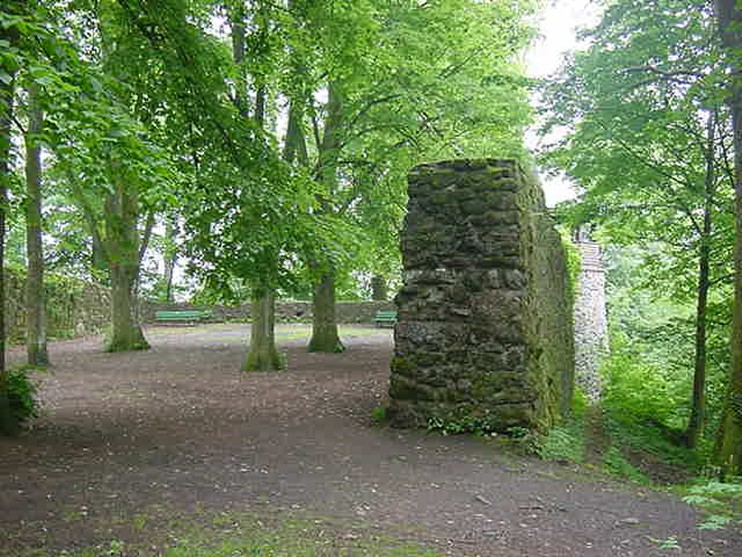 Ruine Werrach