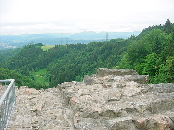 Ruine Wieladingen