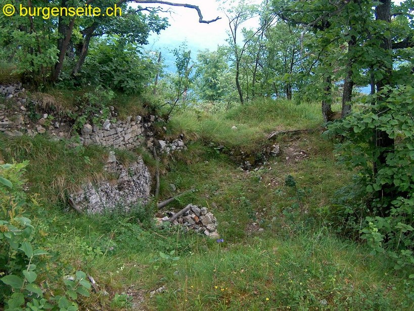 Ruine Wild-Eptingen (Schanz)