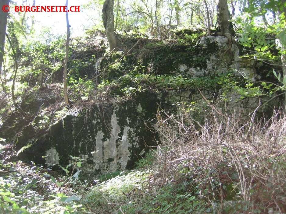 Ruine Winznau