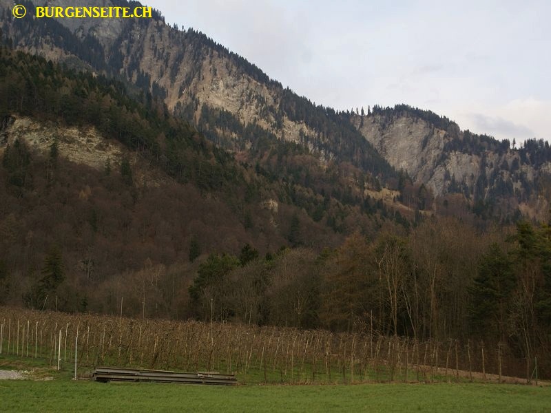 Ruine-Wynegg–1- Ruine Wynegg