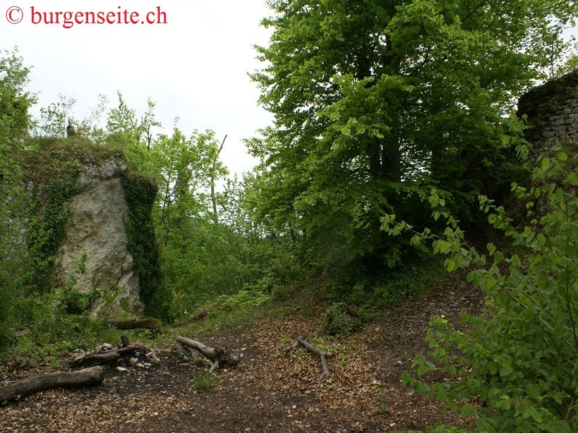 Ruine-mittlere-Birseck,-noerdl.–BL—9- Ruine Mittlere Birseck, nördlich