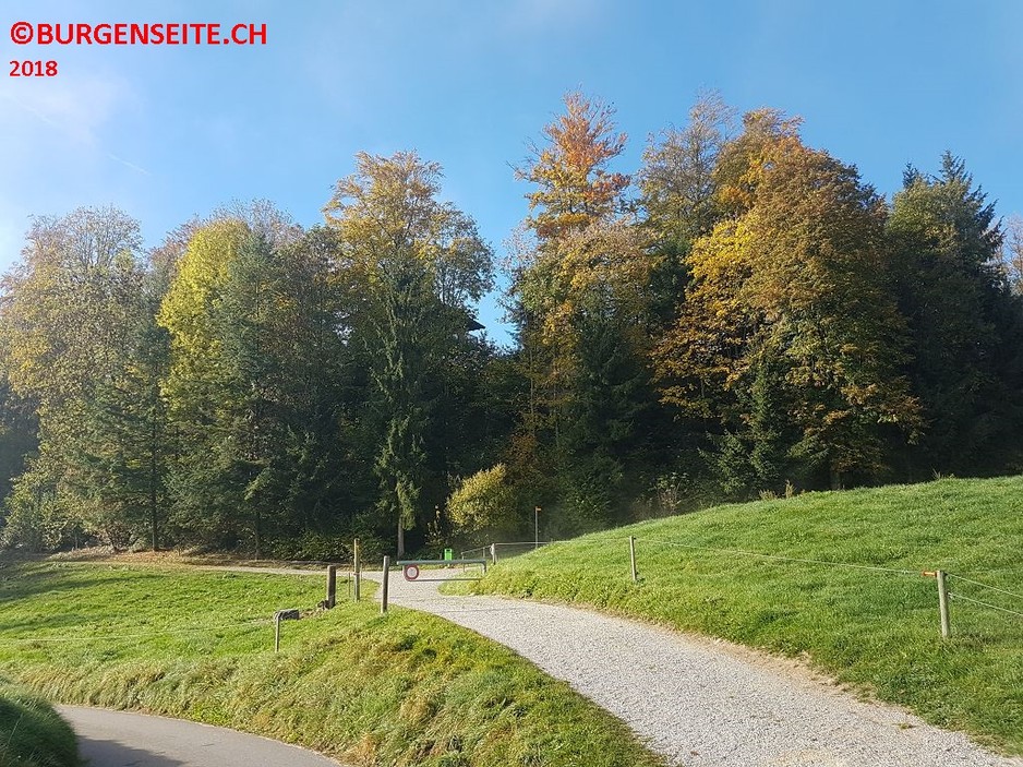 Ruine Äussere Burg Wolhusen