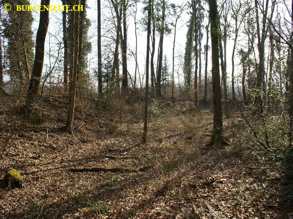 Franzsenschanze