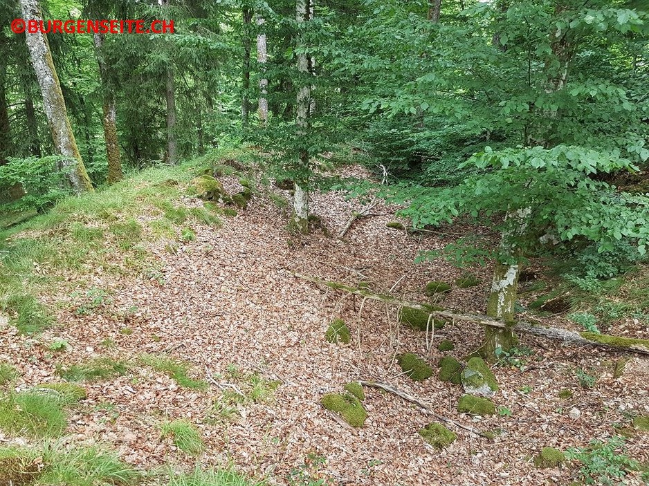 Schanze-Goerwihl-Tiefenstein–1- Schanze Görwihl-Tiefenstein
