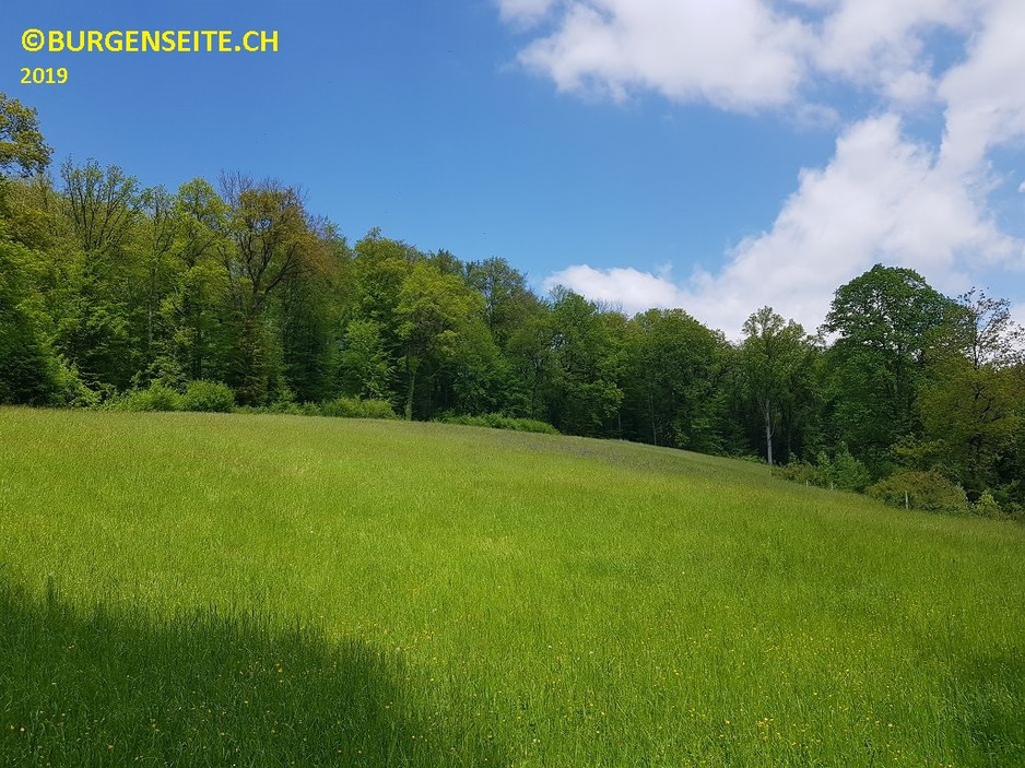 Schanze-Oberacker–1- Schanze Oberacker
