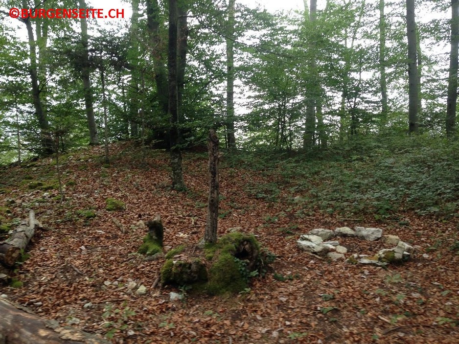 Schanze-Witterswilerberg–1- Schanze Witterswilerberg