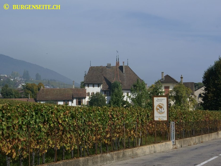 Schloss-Auvernier–2- Schloss Auvernier