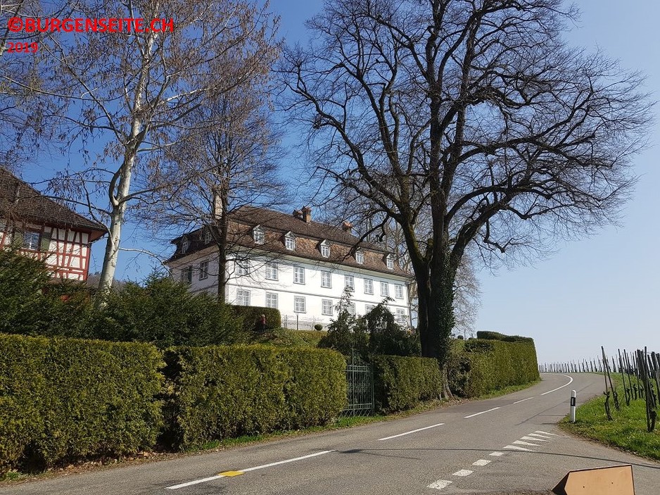 Schloss-Bachtobel–2- Schloss Bachtobel