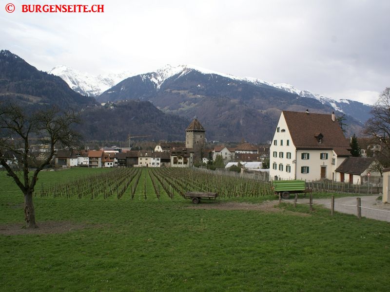 Schloss-Brandis–1- Schloss Brandis