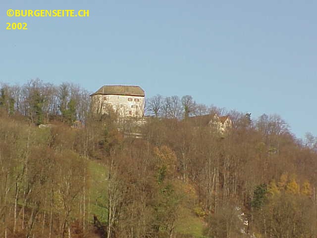 Burg Brunegg