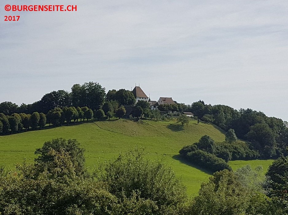 Schloss Burgistein