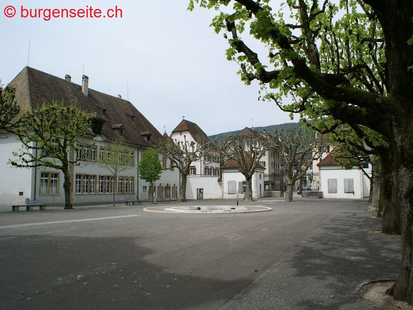 Schloss-Delemont–3- Schloss Delemont