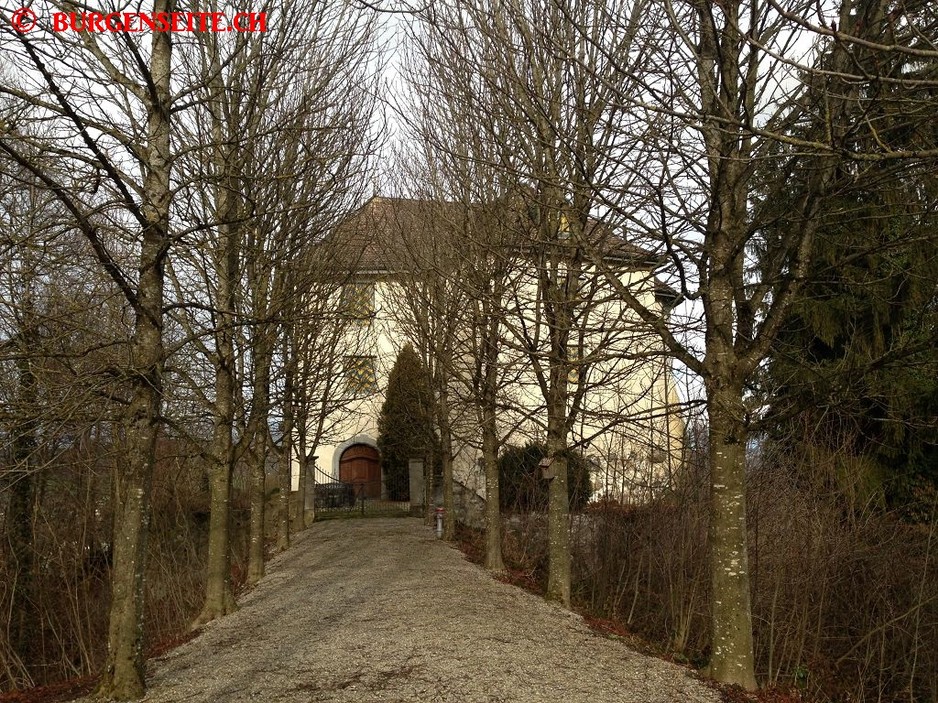 Schloss Elgg