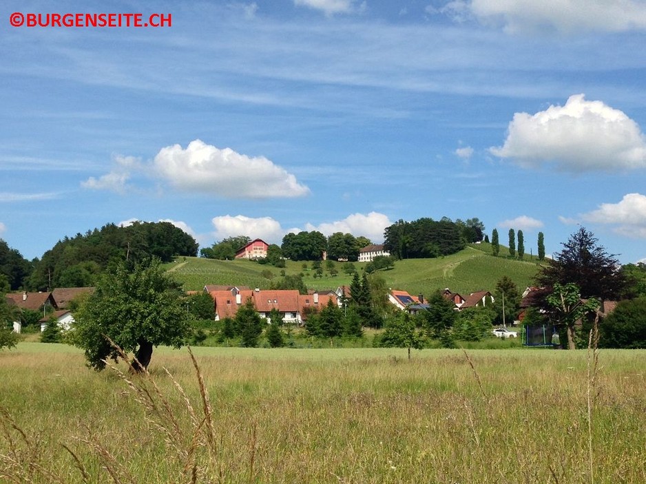 Schloss-Goldbenberg–1- Schloss Goldenberg