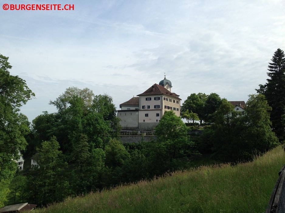Schloss Grüningen