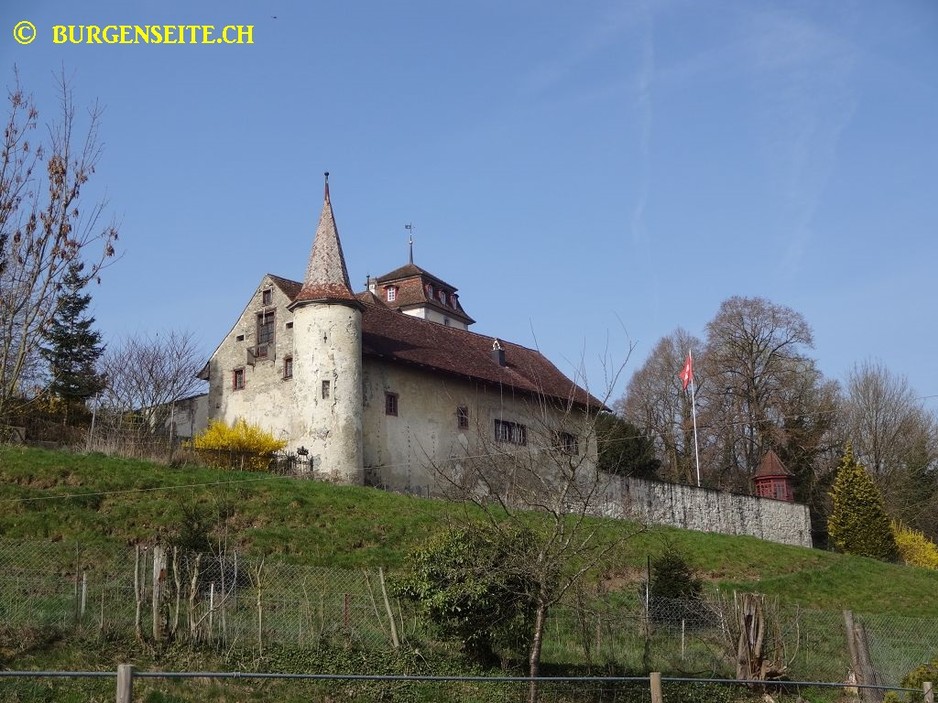 Schloss Hilfikon