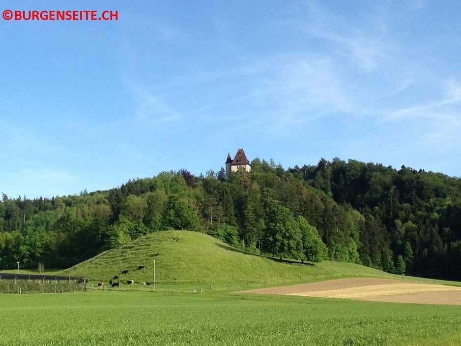 Schloss Liebegg