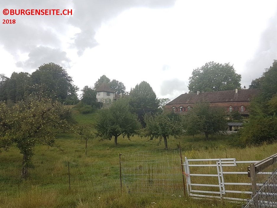 Schloss Muri