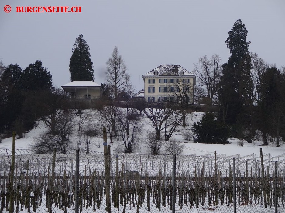 Schloss Neu Wädenswil