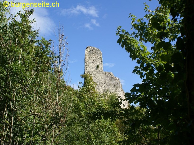 Schloss Vorbourg (Beridiere)