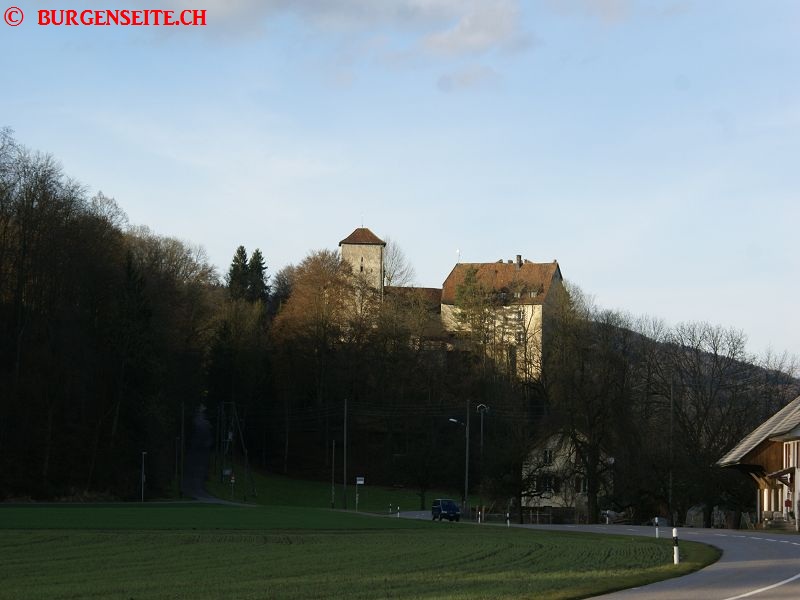 Burg Wildenstein