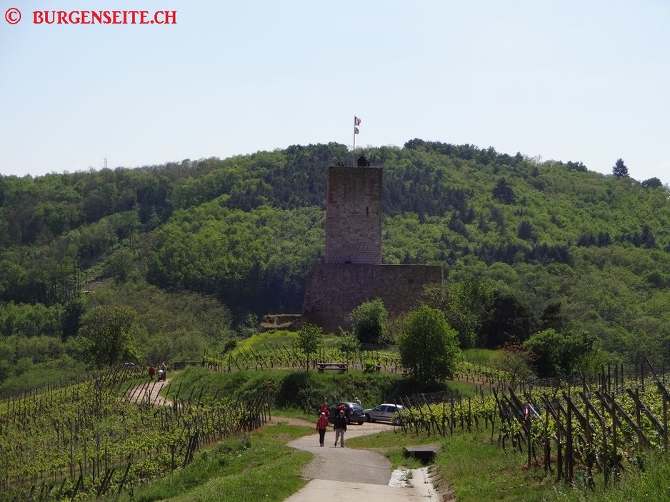 Schloss-Wineck–16- Ruine Wineck