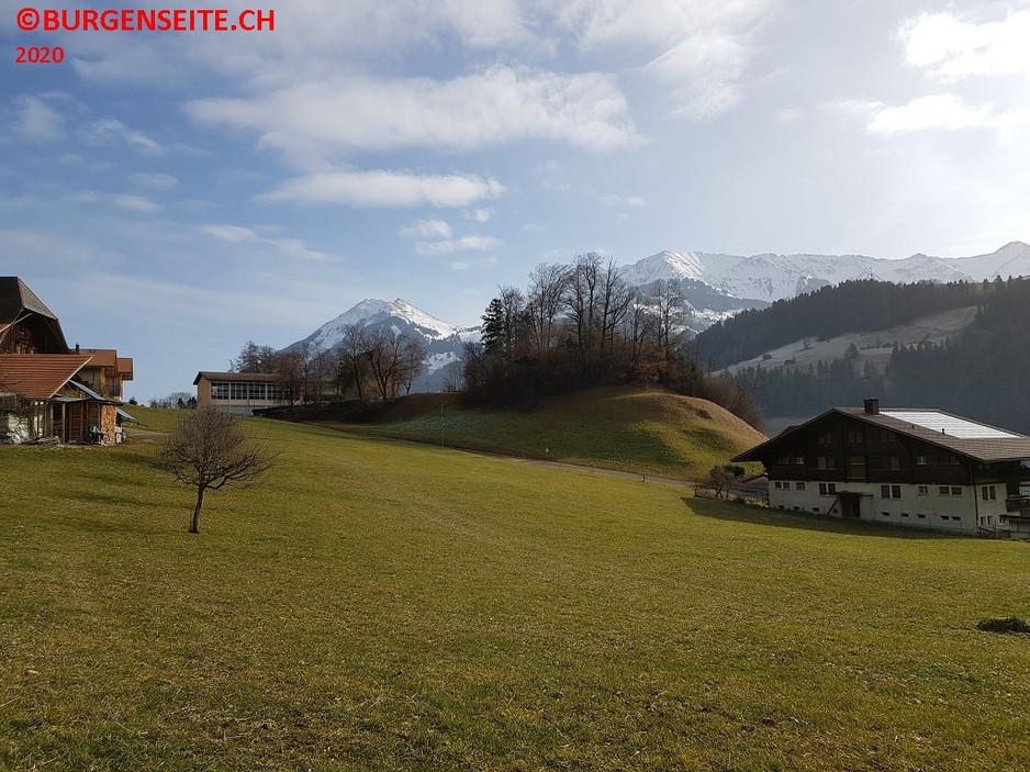 Turm-Erlenbach,—5- Burghügel Erlenbach