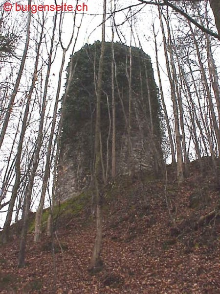 Turm Seeburg