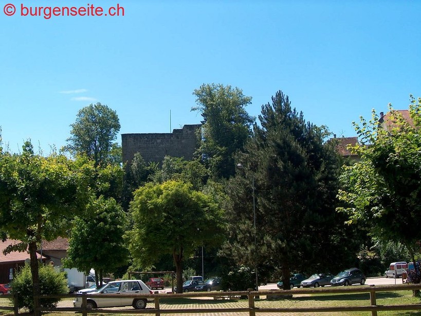 Turmruine-Moudon–3- Turmruine Tour de Broye