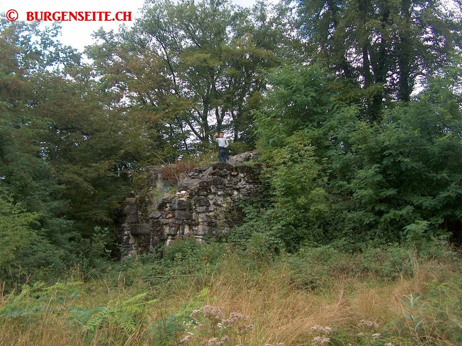 Turmruine-Obergoesgen–4- Turmruine Obergösgen