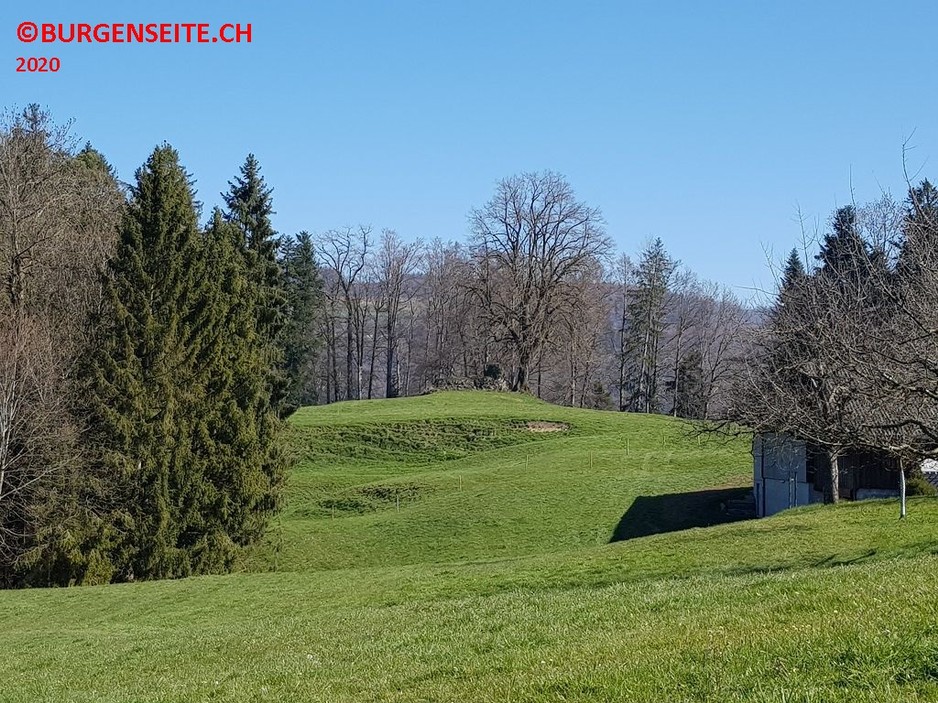 Turmruine Tössegg
