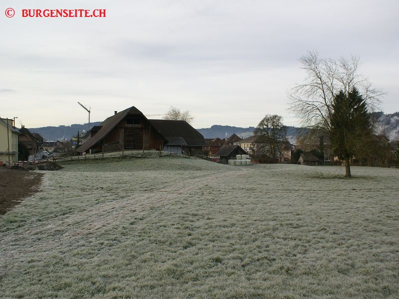 Burgstelle Trostberg
