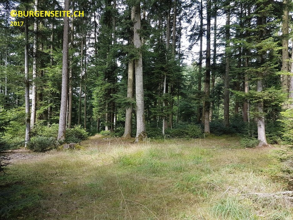 Wehranlage Eggrain