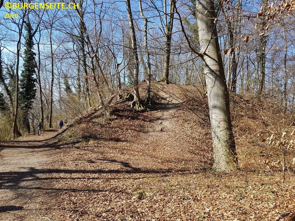 Wehranlage Hornfelsen