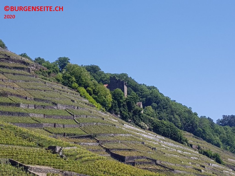 Wehrturm-Marsens–1- Wehrturm Marsens