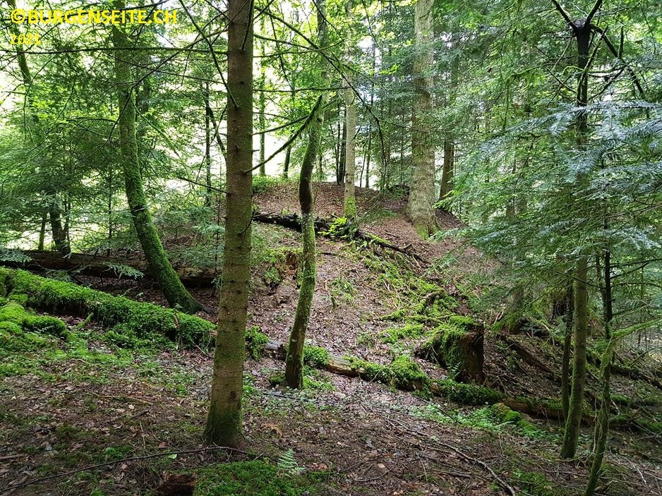 Burghügel Moosgraben